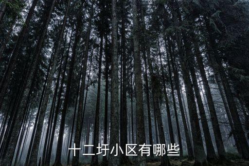 十二圩小区有哪些