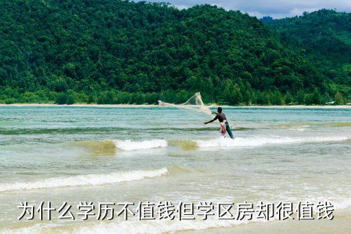 为什么学历不值钱但学区房却很值钱