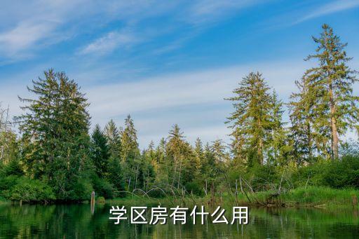 学区房有什么用