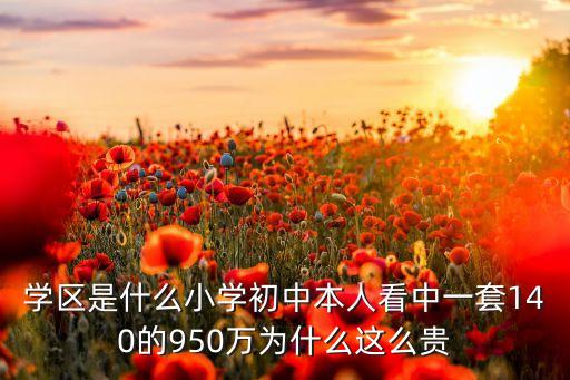 学区房为什么比高中贵呢，小区旁边马上有个中学建好是不是我的房子就会升值