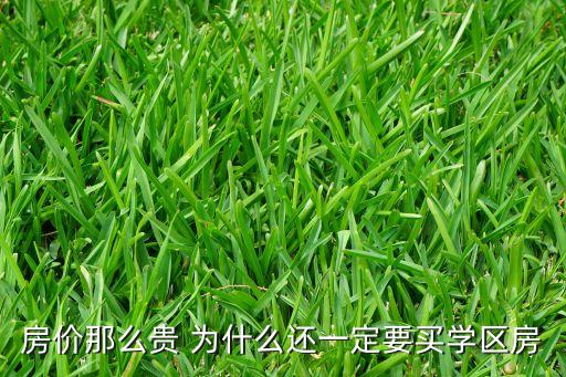 房价那么贵 为什么还一定要买学区房
