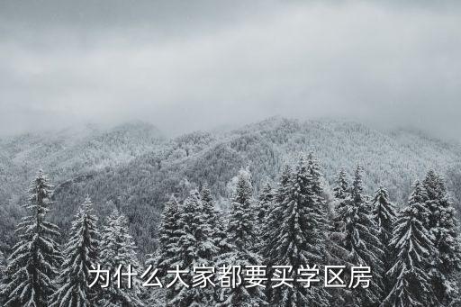 为什么大家都要买学区房
