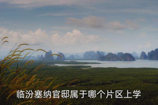 临汾塞纳官邸属于哪个片区上学