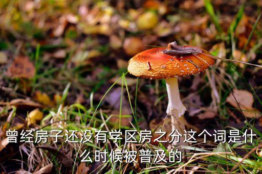 包头学区房什么时候开始的，2022包头学区房划分