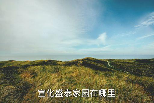 宣化盛泰家园在哪里