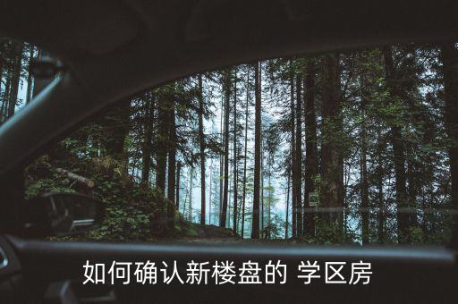 如何确认新楼盘的 学区房