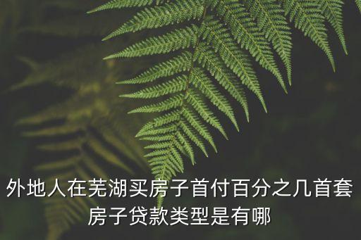 外地人在芜湖买房子首付百分之几首套房子贷款类型是有哪