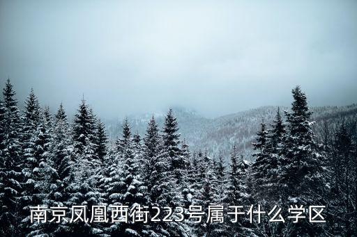 南京凤凰西街223号属于什么学区
