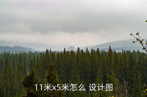 11米x5米怎么 设计图