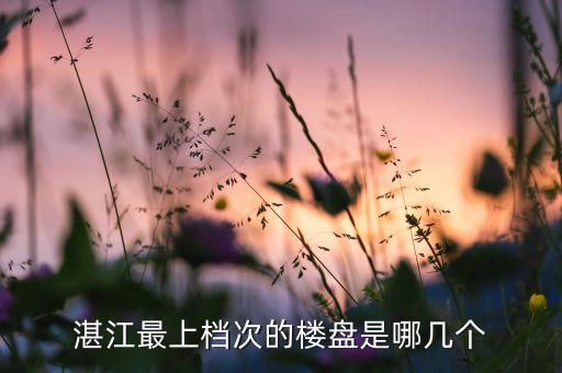 湛江最上档次的楼盘是哪几个