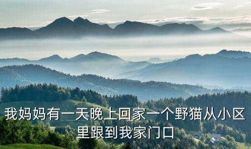 我妈妈有一天晚上回家一个野猫从小区里跟到我家门口