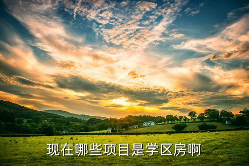 现在哪些项目是学区房啊