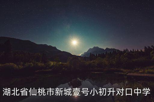 湖北省仙桃市新城壹号小初升对口中学