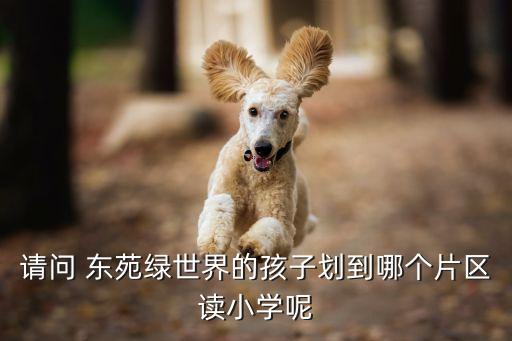 请问 东苑绿世界的孩子划到哪个片区读小学呢