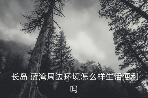  长岛 蓝湾周边环境怎么样生活便利吗
