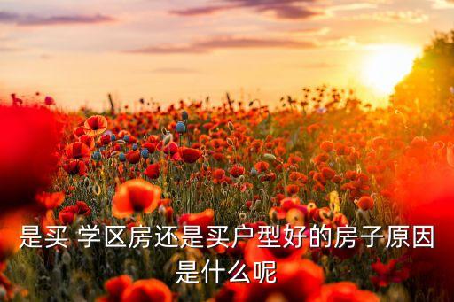 是买 学区房还是买户型好的房子原因是什么呢