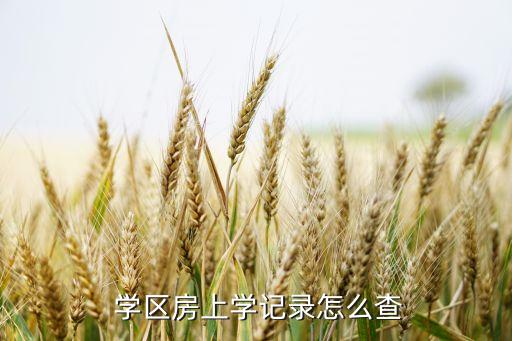 如何查是否用过学区房指标
