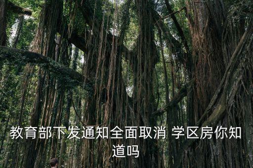 教育部下发通知全面取消 学区房你知道吗