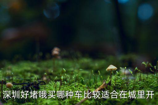 深圳好堵哦买哪种车比较适合在城里开