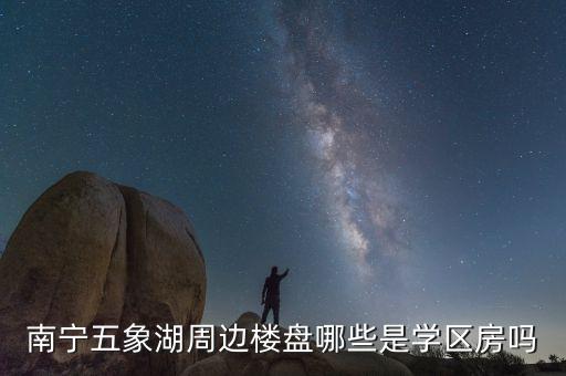 南宁五象湖周边楼盘哪些是学区房吗