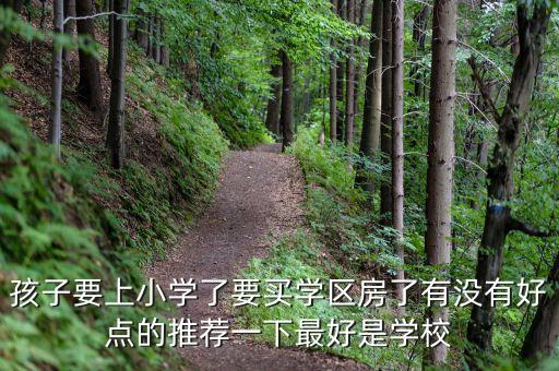 什么学校学区房好，为了孩子上学想在沈阳买房子请问大家那个学区的学校相对好一