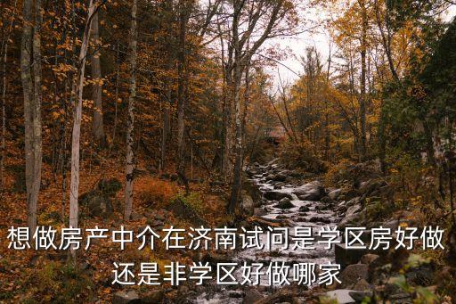 想做房产中介在济南试问是学区房好做还是非学区好做哪家