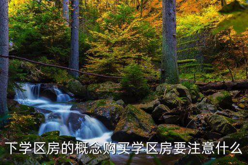 下学区房的概念购买学区房要注意什么