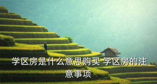  学区房是什么意思购买 学区房的注意事项