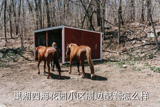 巢湖哪个小学区房好,巢湖小学教材是哪个版本