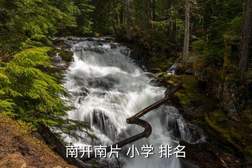 南开南片 小学 排名