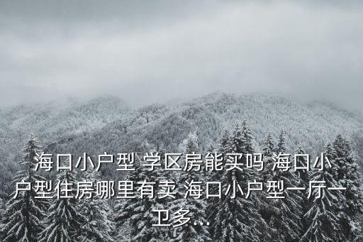 海口学区房面积多少,海口最好的学区房在哪里