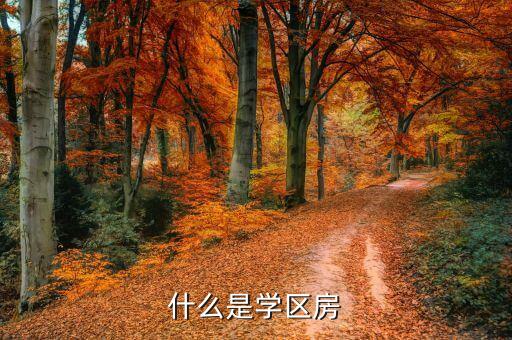 什么是学区房