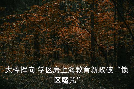 大棒挥向 学区房上海教育新政破“锁区魔咒”