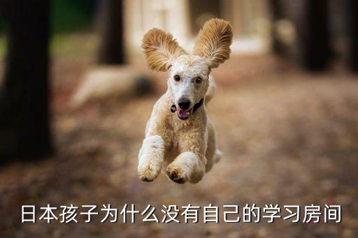 日本孩子为什么没有自己的学习房间