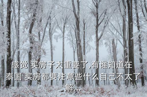 感觉 买房子太重要了,有谁知道在 泰国 买房都要注意些什么自己不太了解...