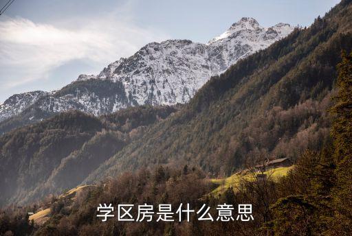 学区房是什么意思