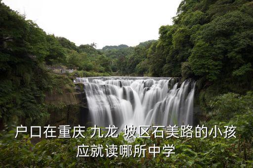 九龙坡区哪个小学区房好,重庆九龙坡区哪个小学最好