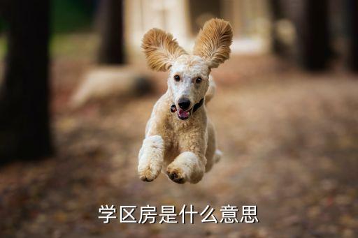 什么房属于学区房，哪种房算学区房