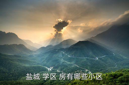 盐城 学区 房有哪些小区