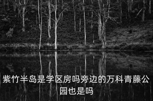 学区房附近建个什么公园，想在城南买套房周围要有公园的大家有什么好的推荐吗