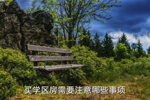 买学区房需要注意哪些事项