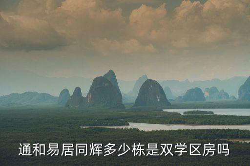 什么叫双学区学区房，通和易居同辉多少栋是双学区房吗