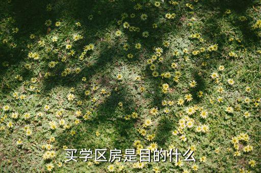 买学区房是目的什么