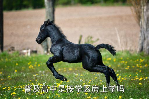 取消学区房政策按什么入学，小学入学无需房产证明 是不是学区房取消了