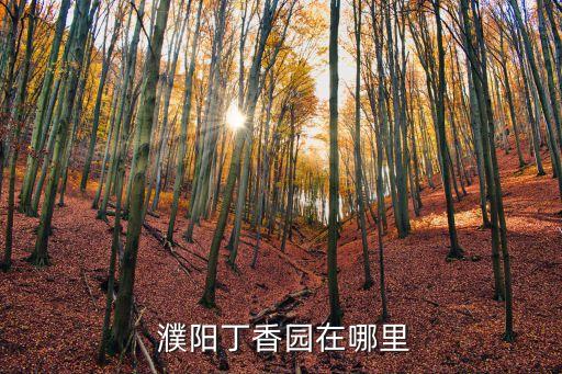 濮阳学区房买哪里,濮阳一中学区房都有哪几个小区