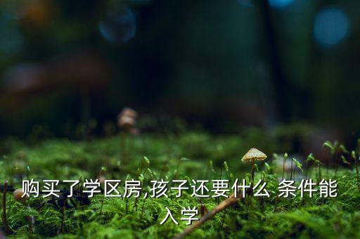 现在小孩上学需要什么条件,现在的小孩需要什么