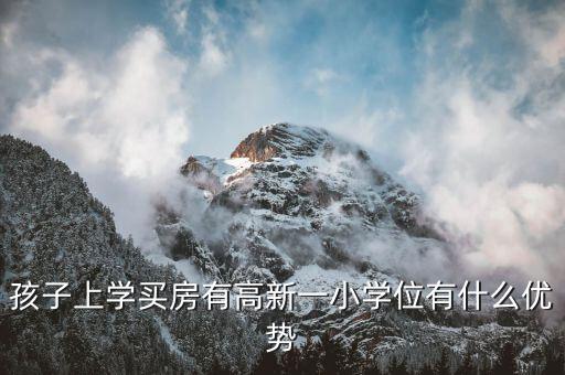 孩子上学买房有高新一小学位有什么优势