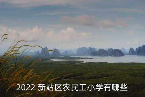 新站区九中的学区房怎么样