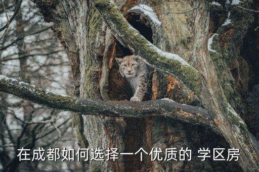 城南最好的学区房在哪里,海口最好的学区房在哪里