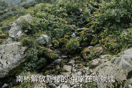 南桥解放新村的 中学在哪就读